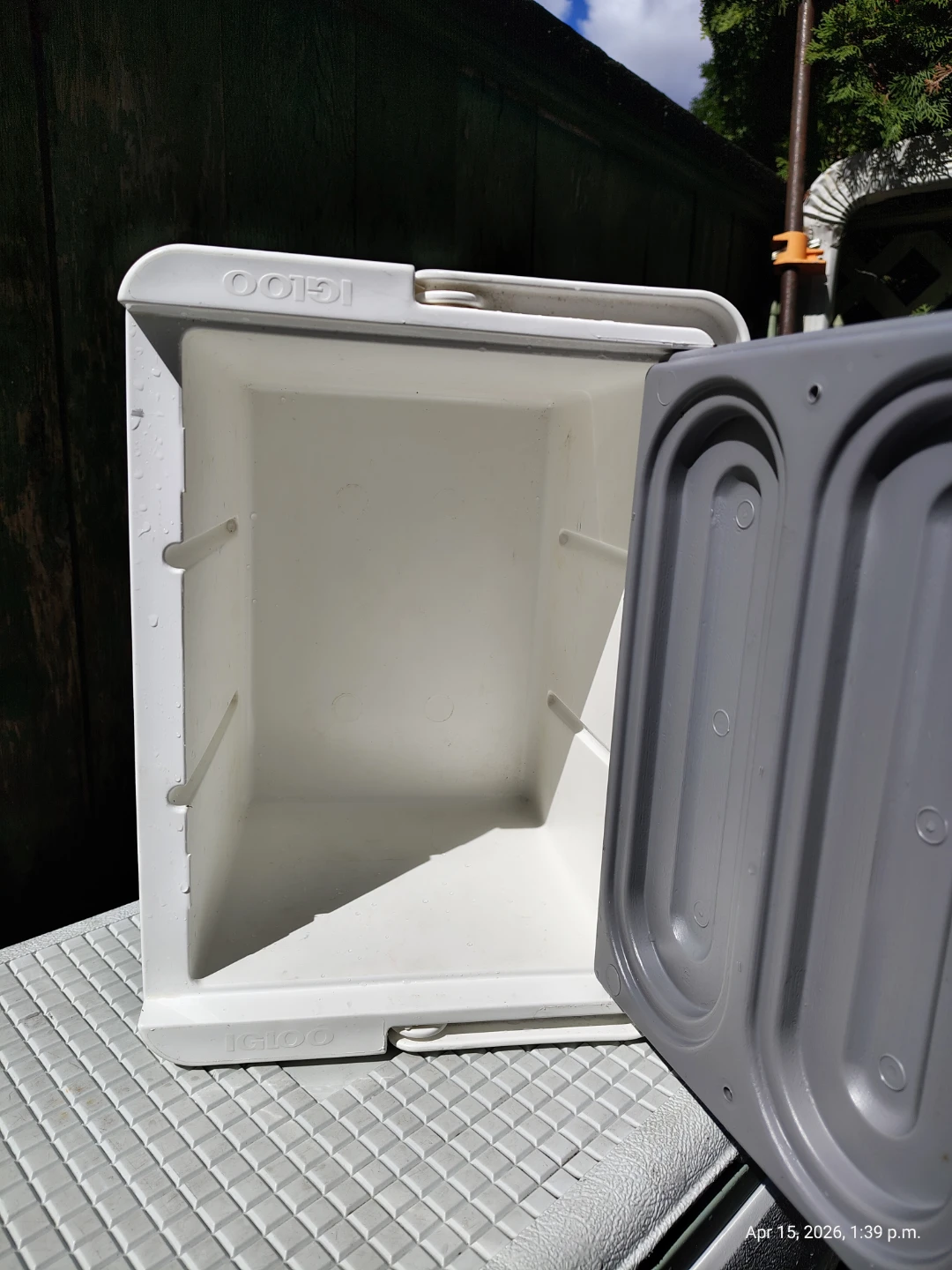 IGLOO Modern Lunch Cooler 9 Cans 🥕 - photo 5
