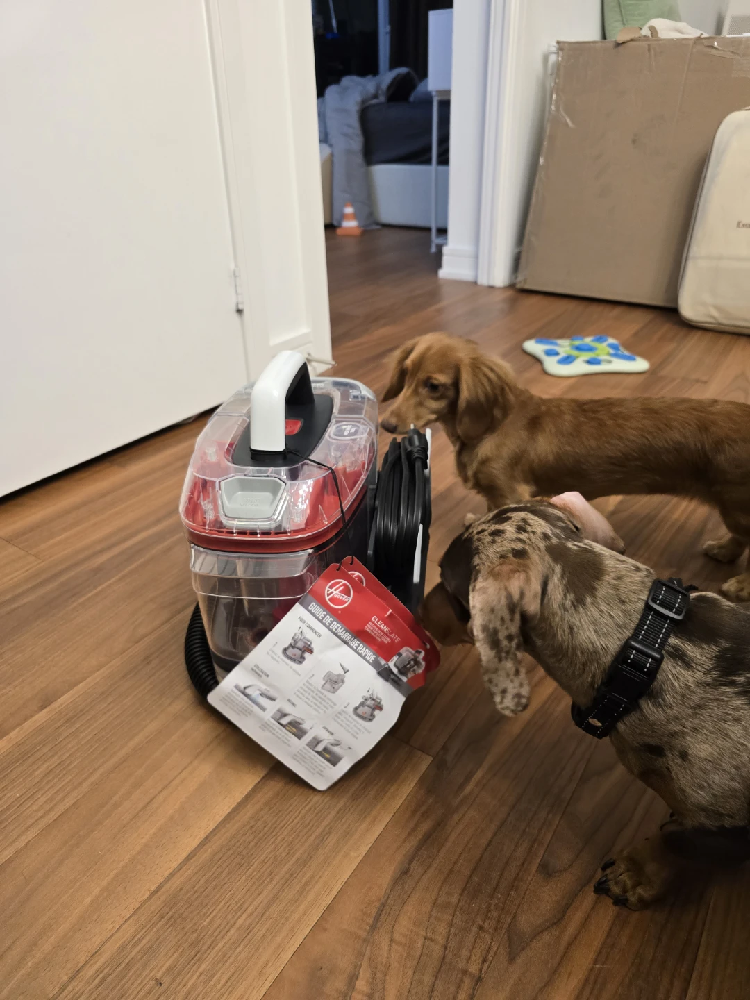 Hoover Spotless Portable Carpet and Upholstery Cleaner - photo 4