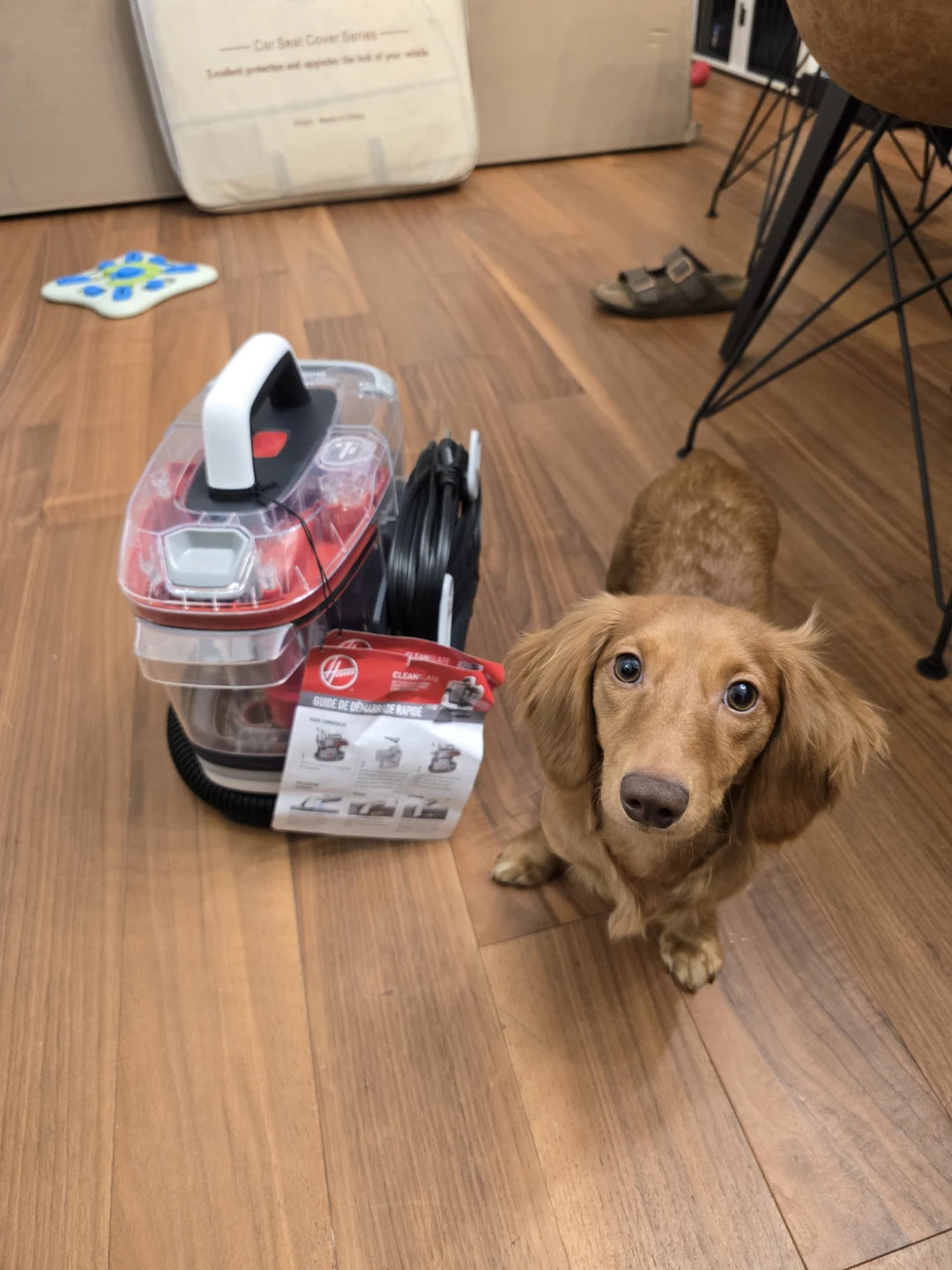 Hoover Spotless Portable Carpet and Upholstery Cleaner - photo 5