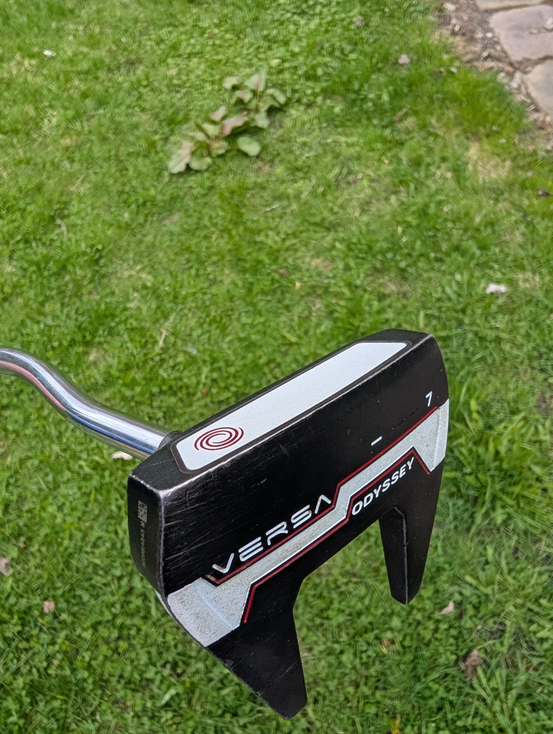 LH Golf Clubs - photo 2