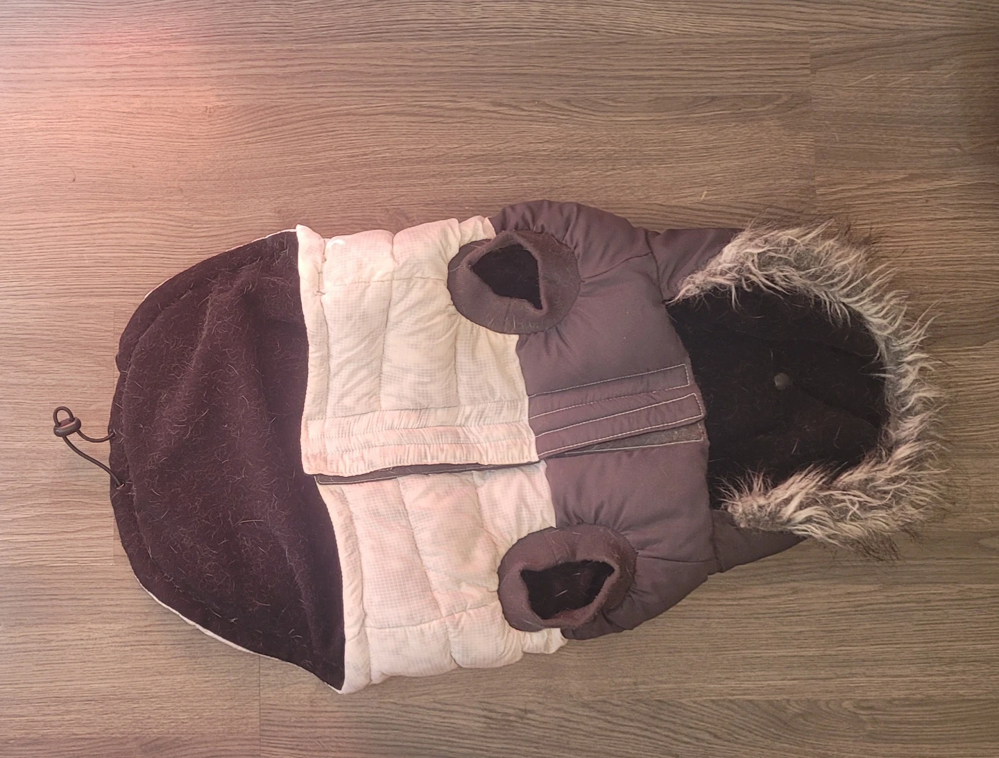 Canada Pooch LTD. Insulated Dog Jacket - Size 18