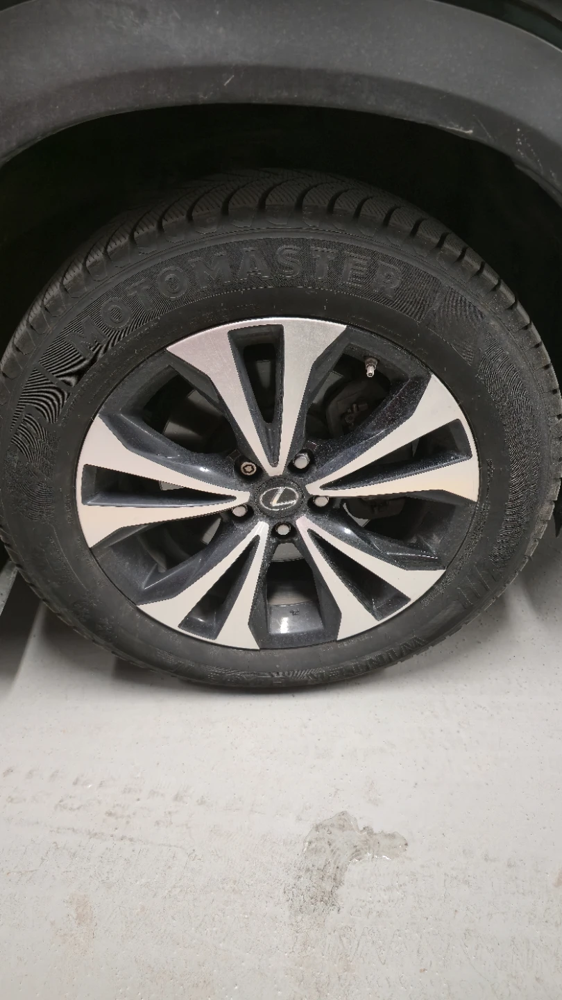 MotoMaster Winter Tire - Edge II
