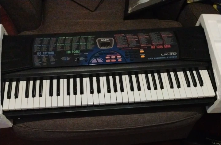 Casio LK-30 Key Lighting System Electronic Keyboard