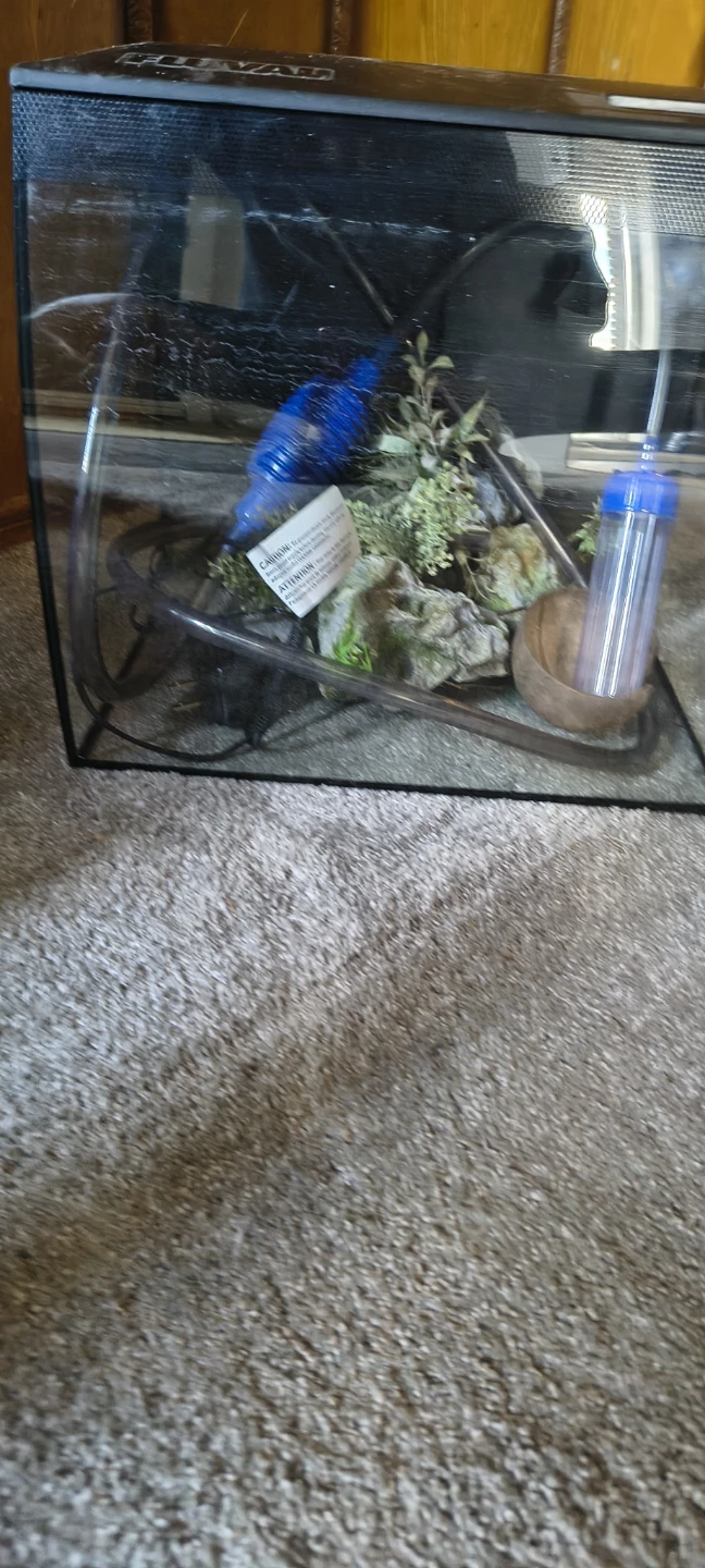 Small Terrarium/Aquarium with Accessories