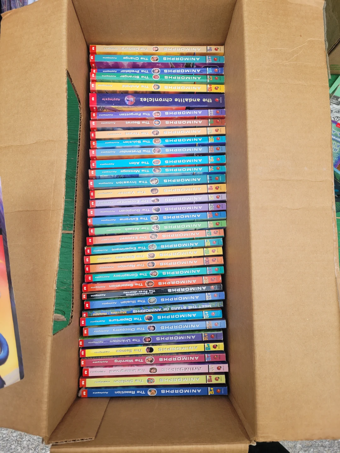 Animorphs Book Collection