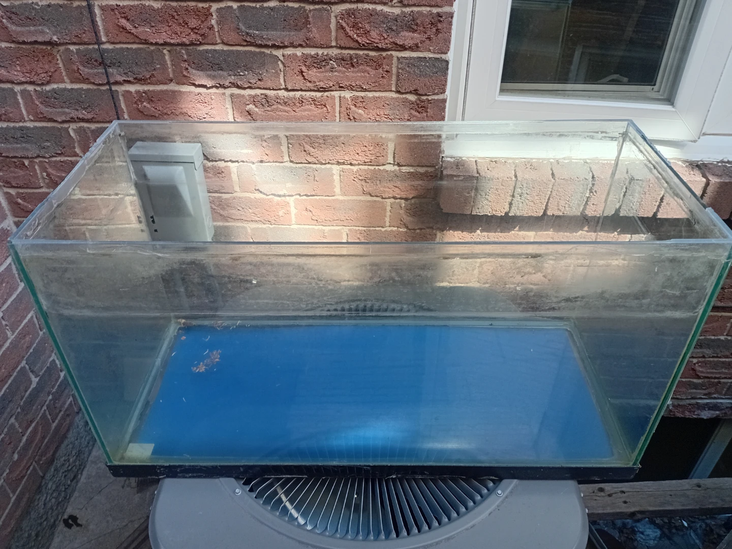 Glass Aquarium Tank - photo 2