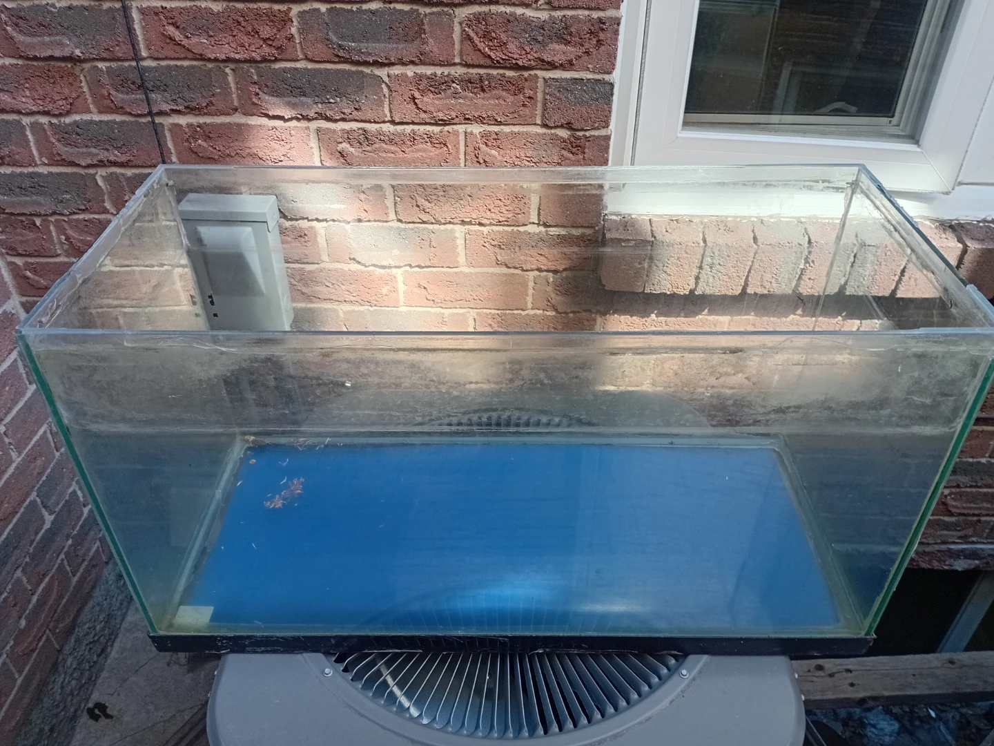 Glass Aquarium Tank - photo 4