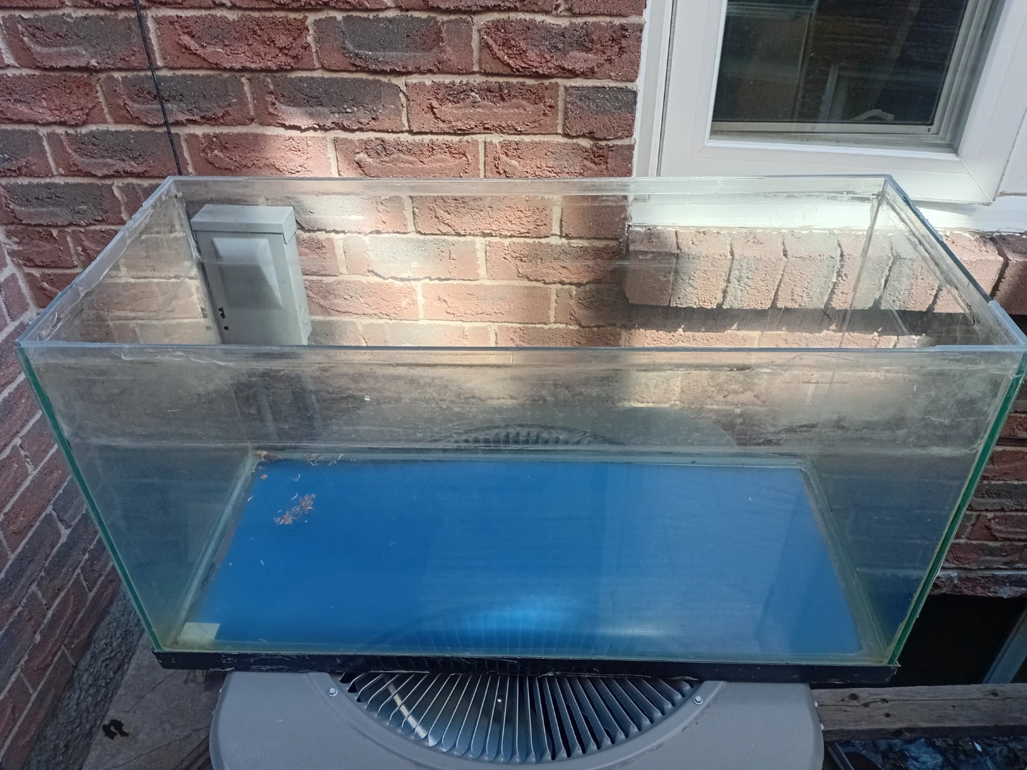 Glass Aquarium Tank - photo 5