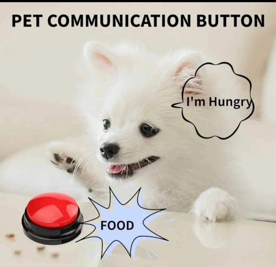 4 pack Voice Recording Button,Dog Buttons for ... - photo 3