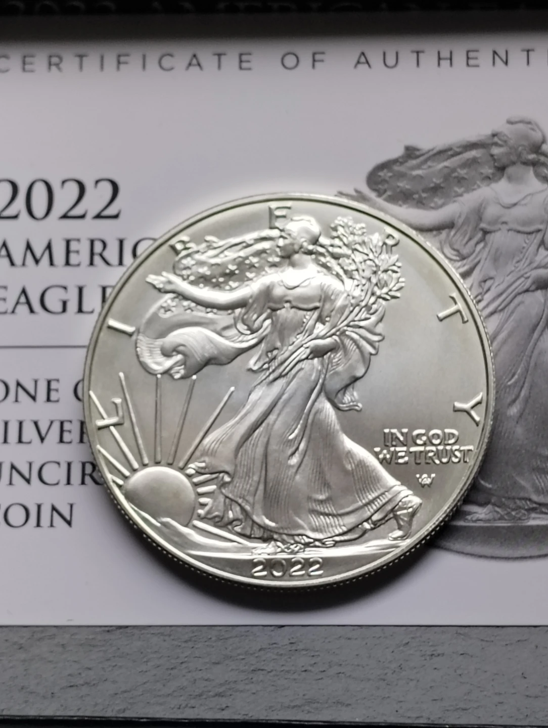 2022 American Silver Eagle One Ounce Uncirculated Coin - photo 4