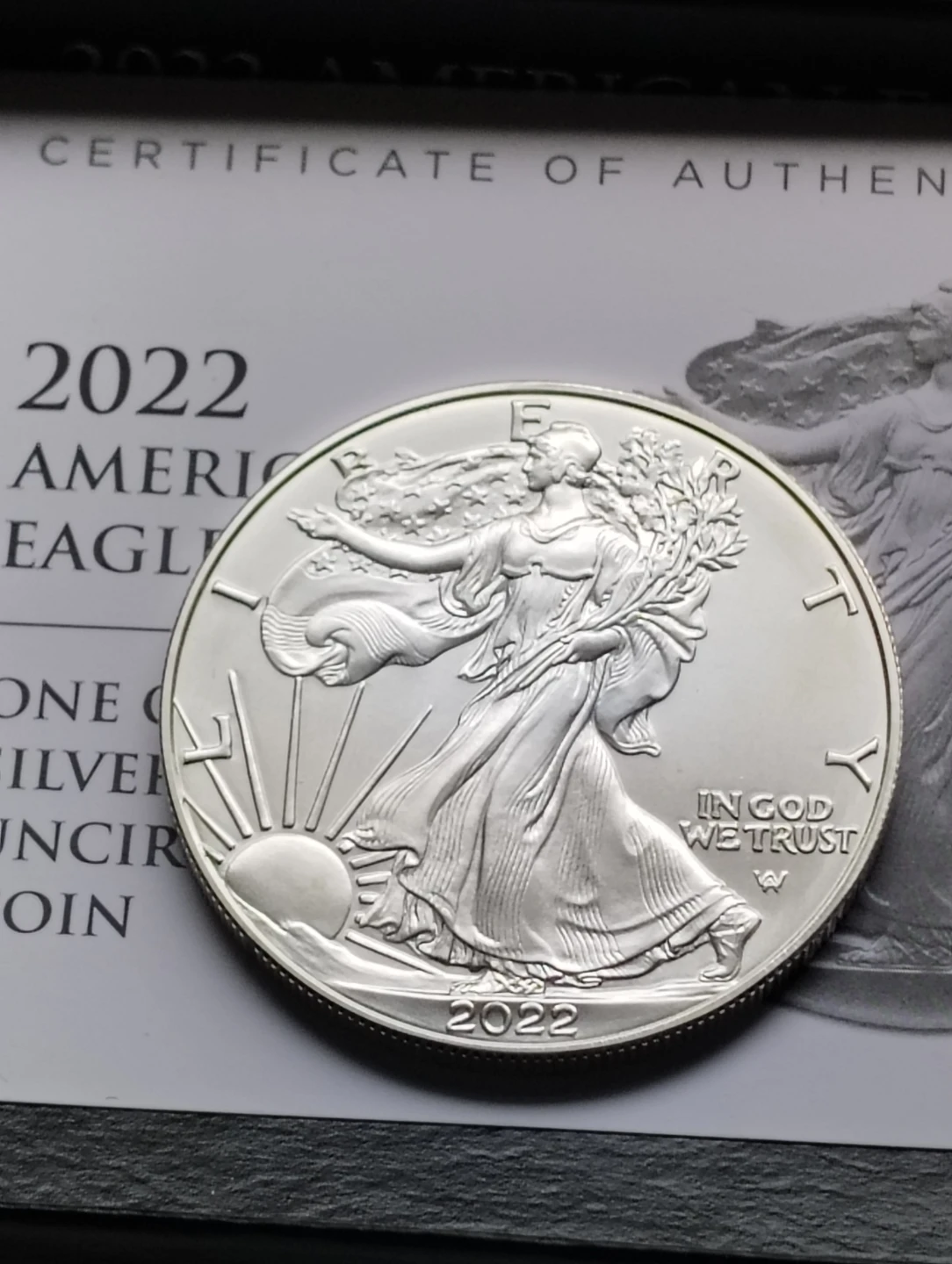 2022 American Silver Eagle One Ounce Uncirculated Coin - photo 5