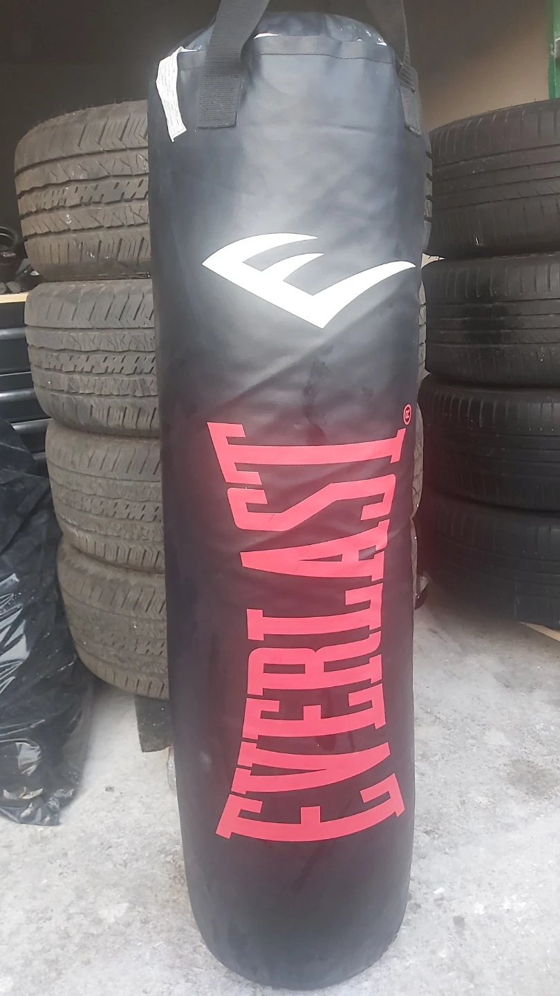 Everlast Punching Bag