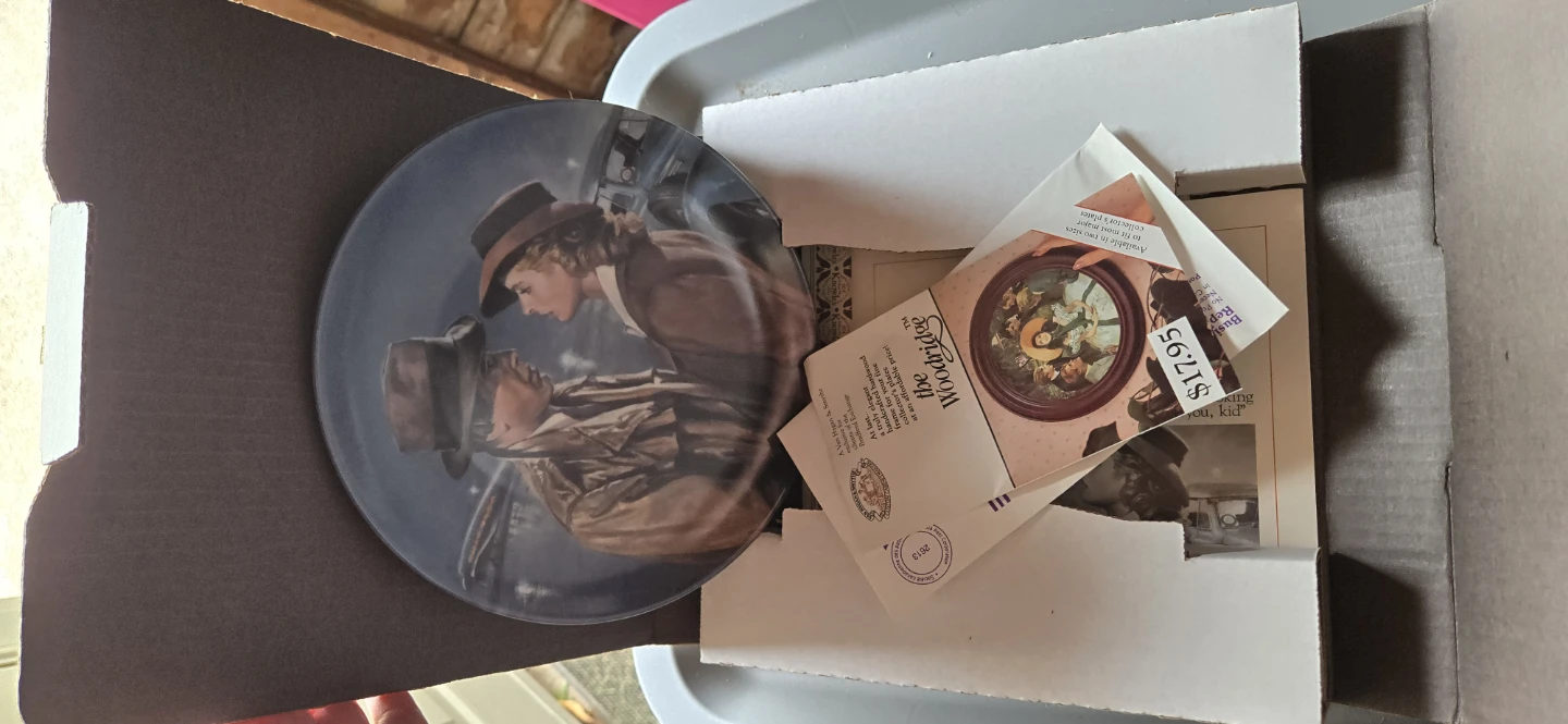 Beautiful lot of mixed Bradford exchange plates - photo 5