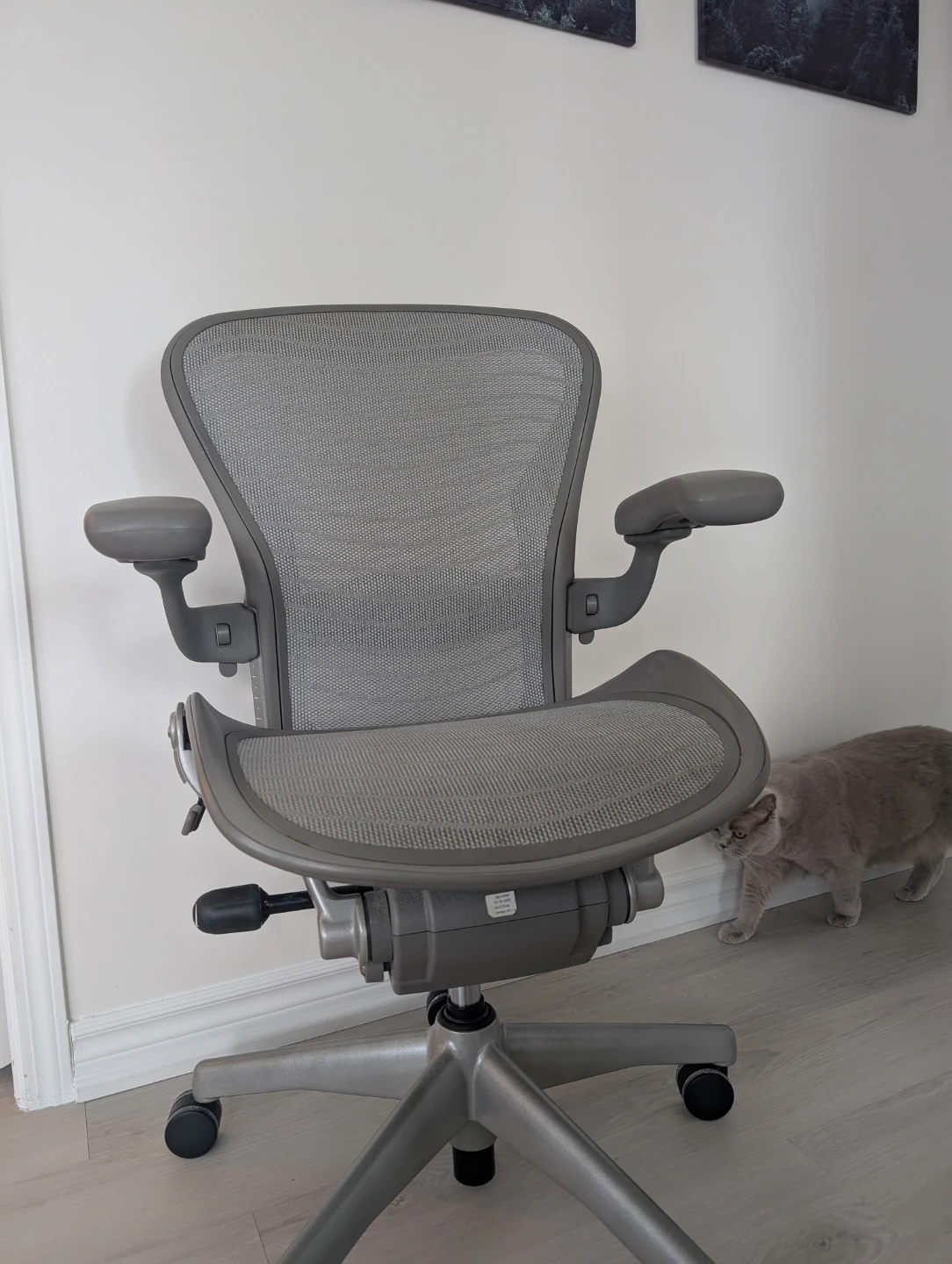 Herman Miller Classic Aeron - AE112AWB