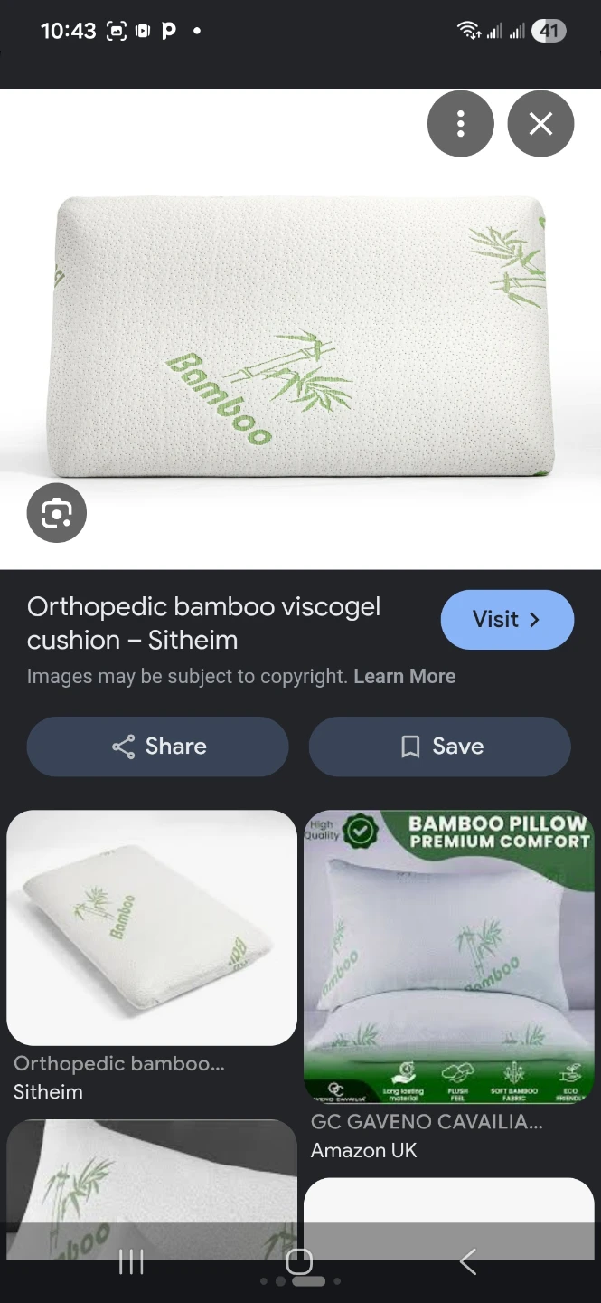 Orthopedic Bamboo Viscogel Pillow