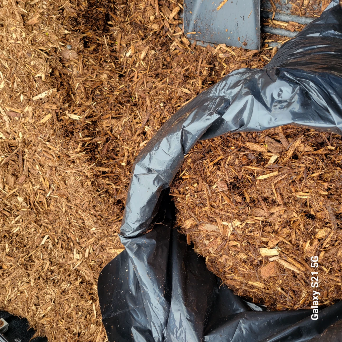 Brown Mulch