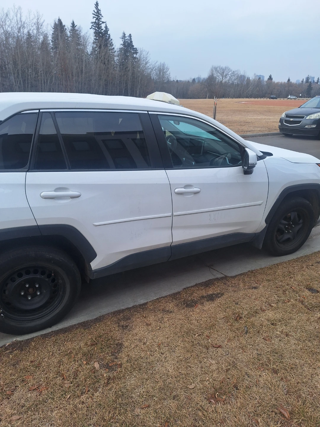 White Toyota RAV4 - photo 5