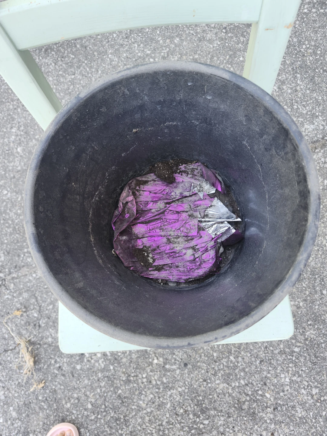 Large Black Plastic Plant Pot - photo 2