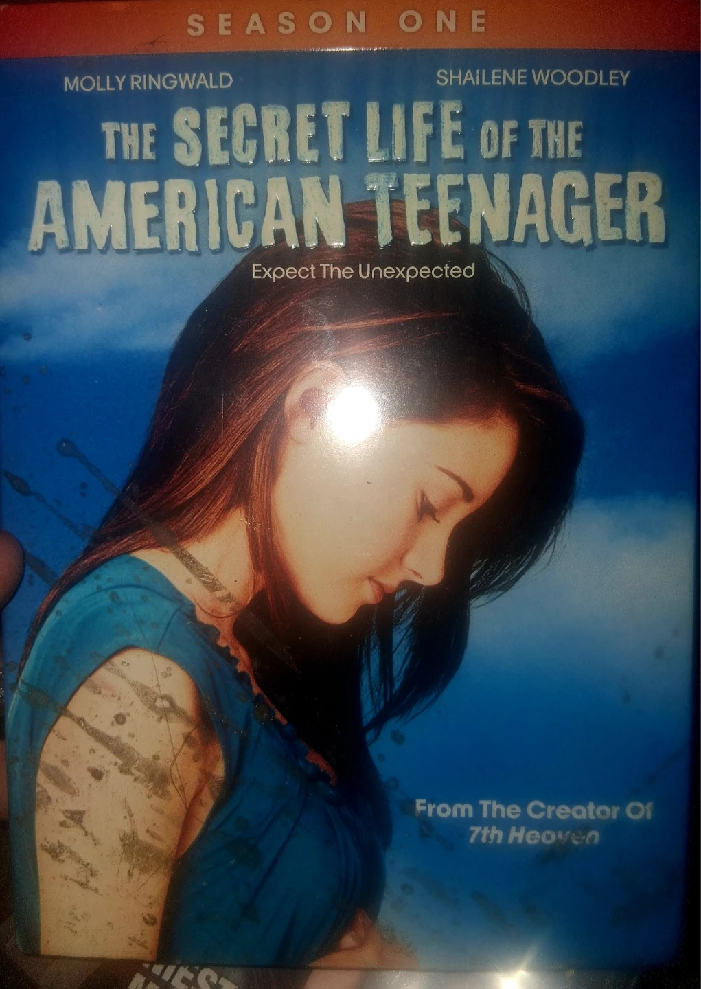 The Secret Life of the American Teenager Season One DVD