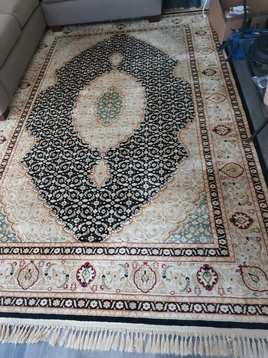 Traditional Oriental Area Rug