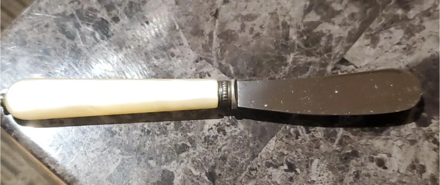 Vintage Butter Knife with Mother of Pearl Handle