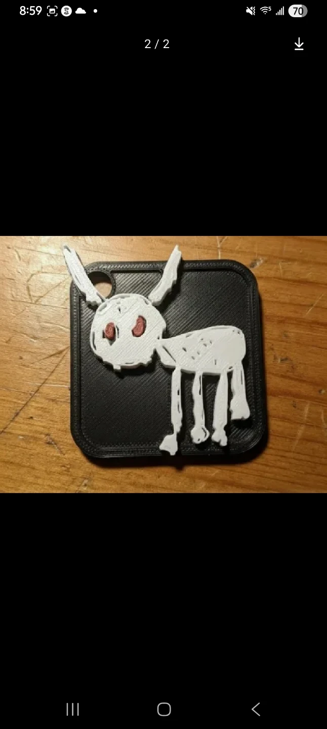 Drake key chain for my dogs