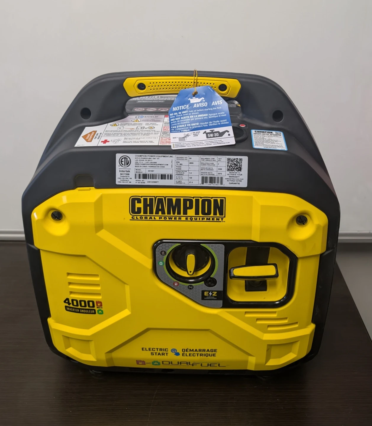 Champion 4000W Dual Fuel Inverter Generator - photo 2