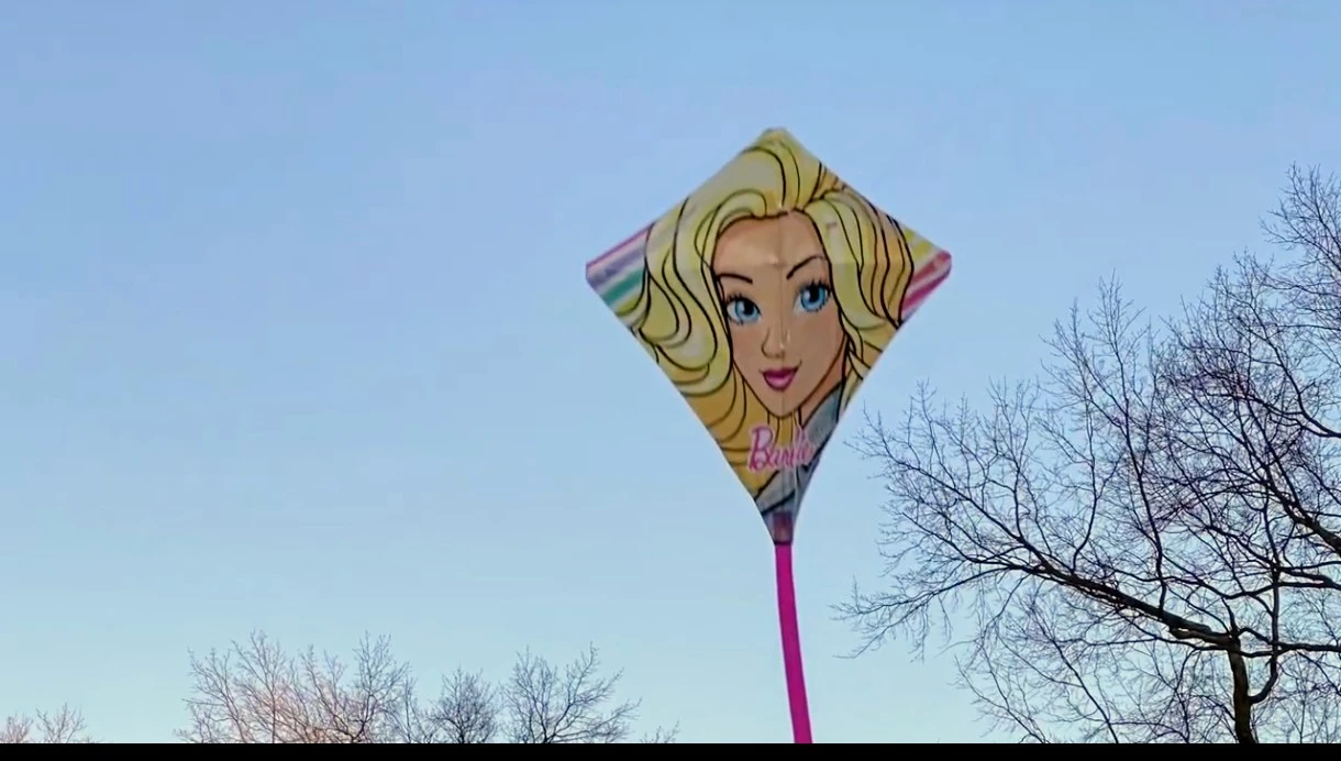 Barbie Sky Diamond Kite - 23 inch - photo 4