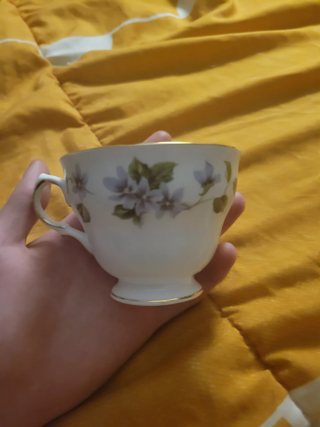 Colclough 8244 Teacup and Saucer