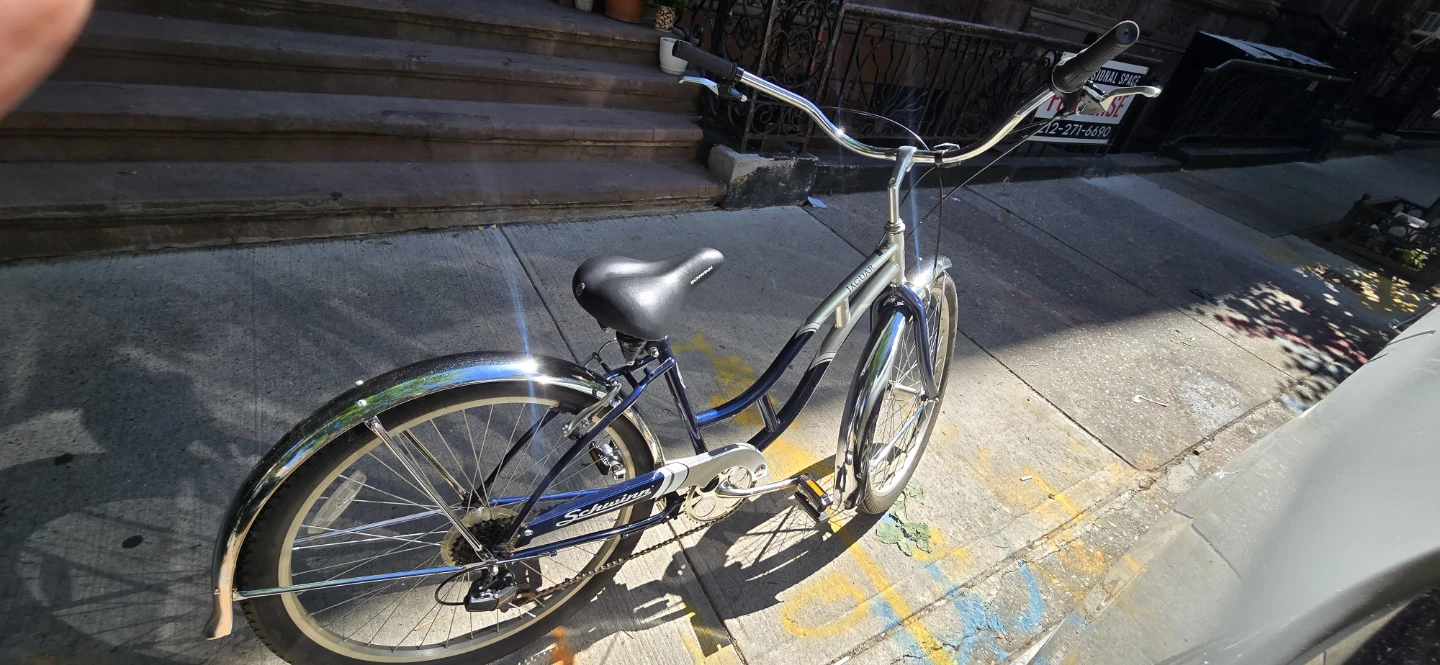 Schwinn Cruiser Bicycle