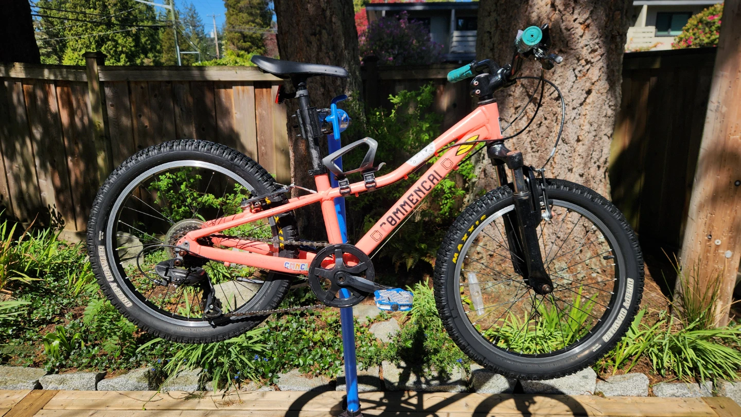 Trek Precaliber  20 " Kids Bike