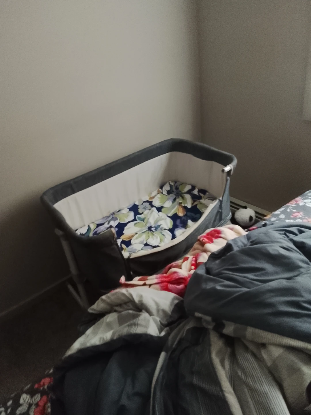 Co-sleeper Bassinet