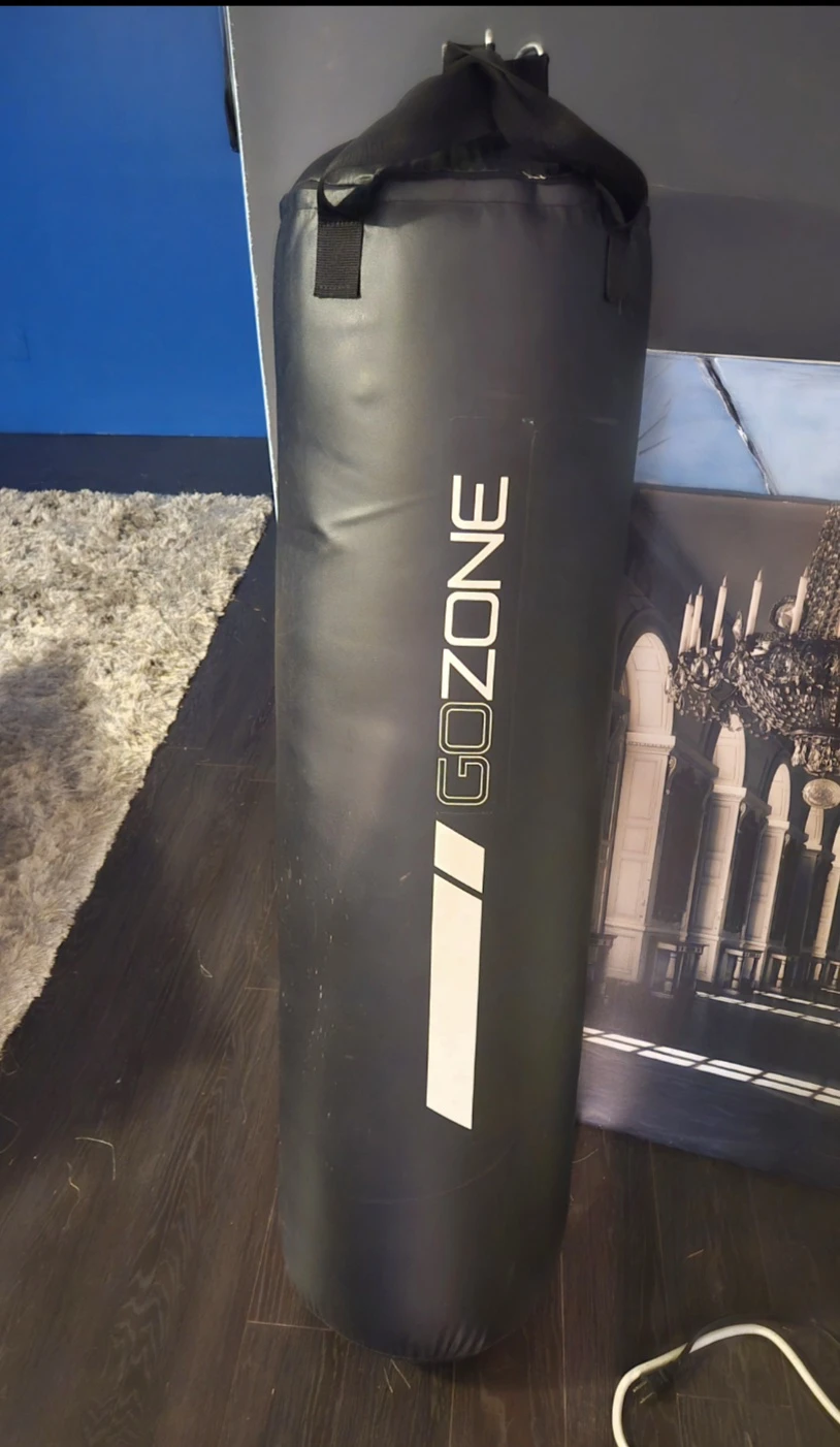 GOZONE Punching Bag plus mount