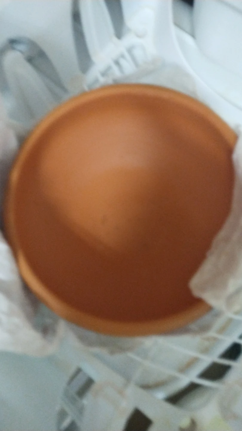 Terracotta bowl with painted design