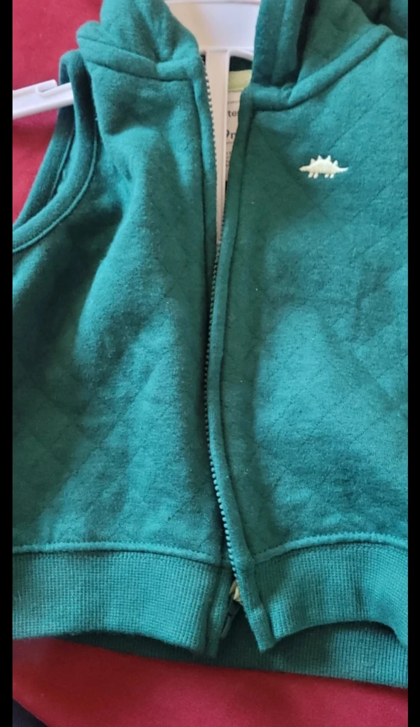 Green Quilted Dinosaur Vest with Hood