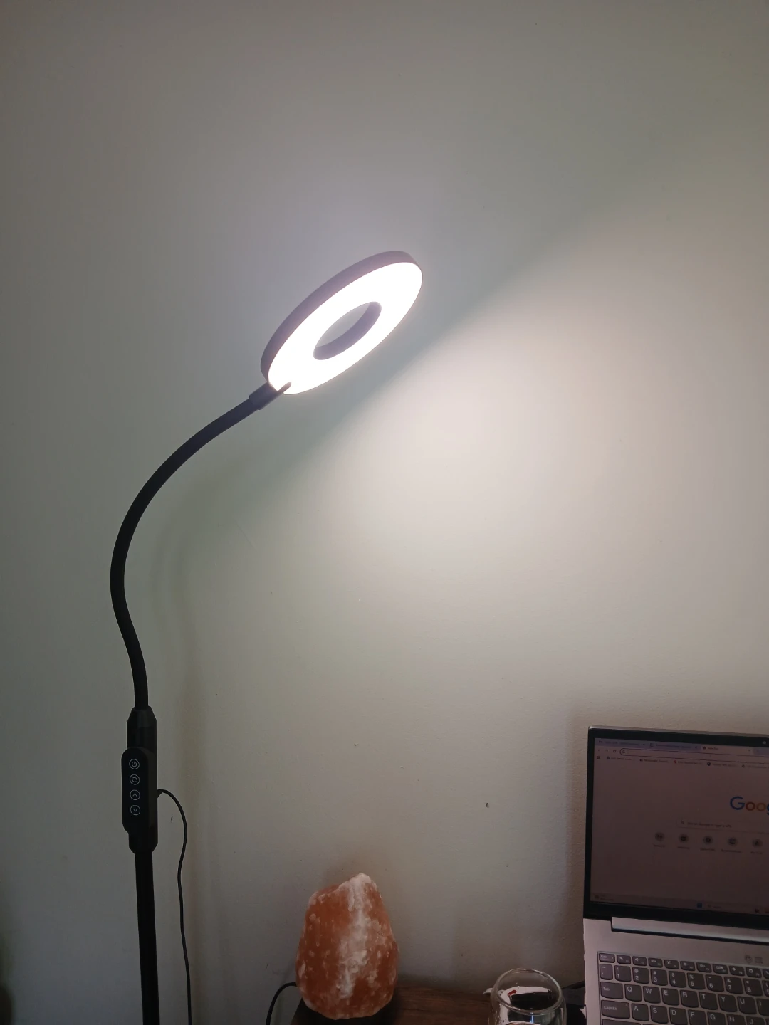 Gooseneck light adjustable flexible floor lamp - photo 2