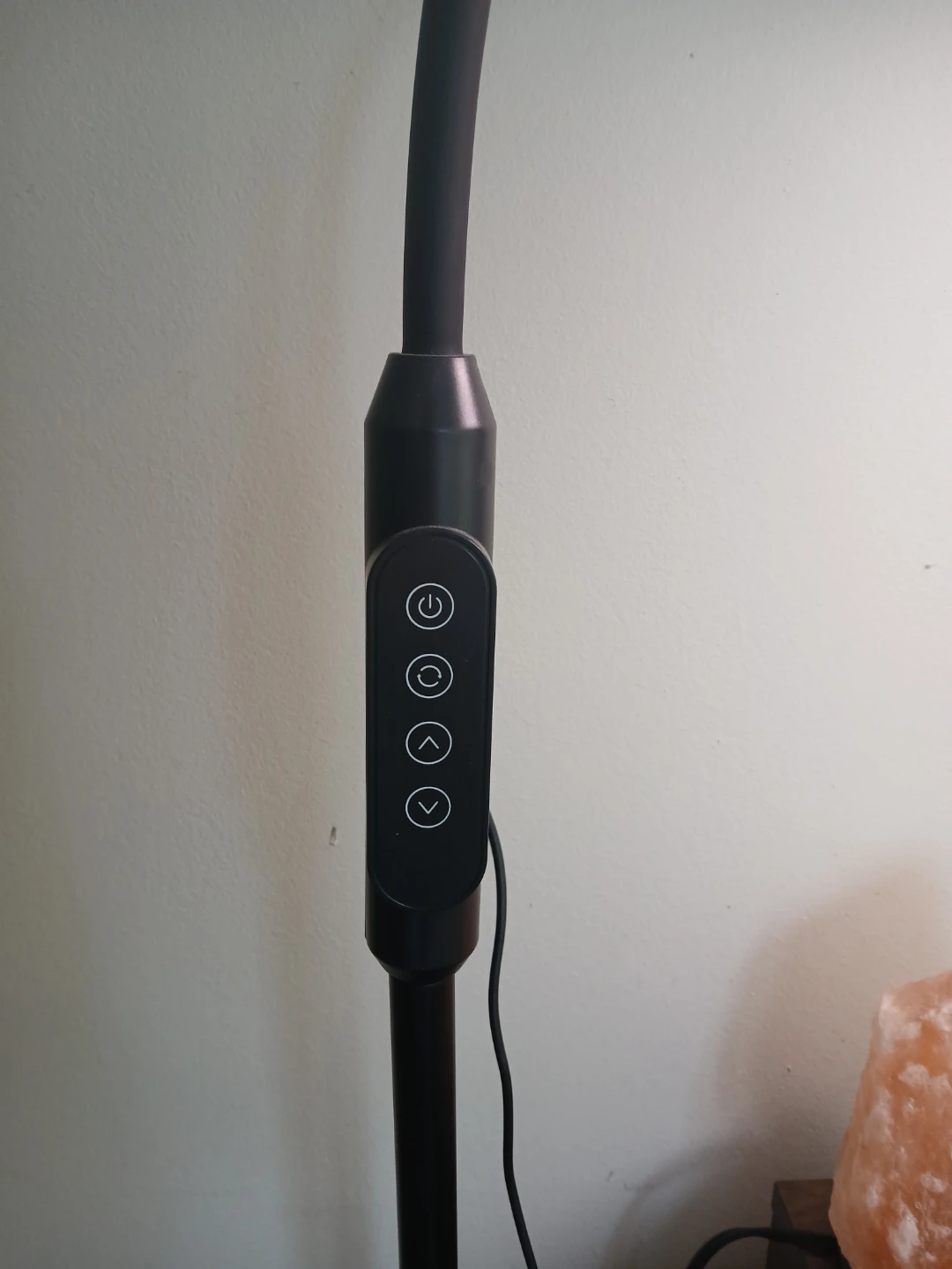 Gooseneck light adjustable flexible floor lamp - photo 4