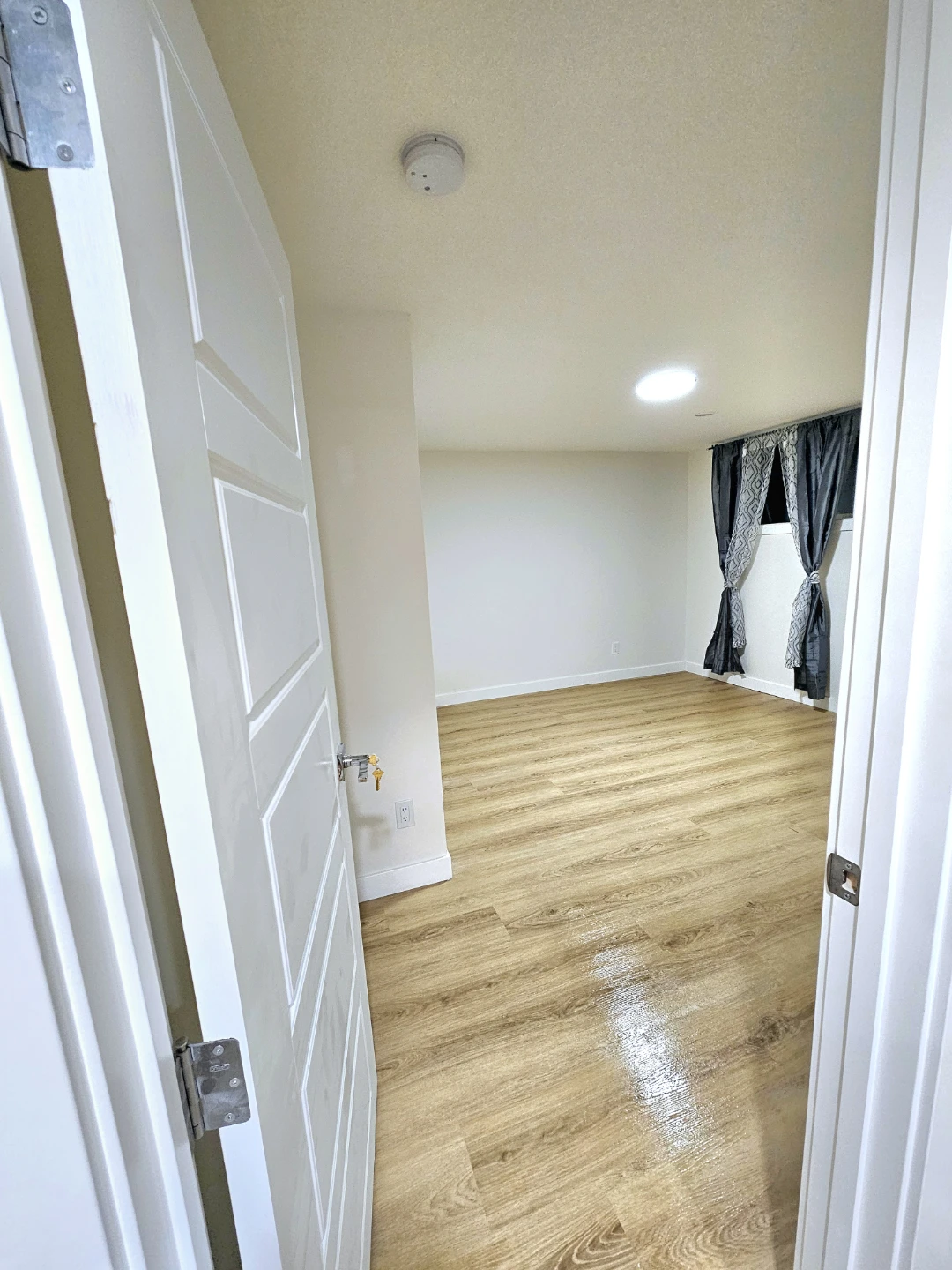 Newly Renovated Basement Suite with Kitchen and Bathroom - photo 4