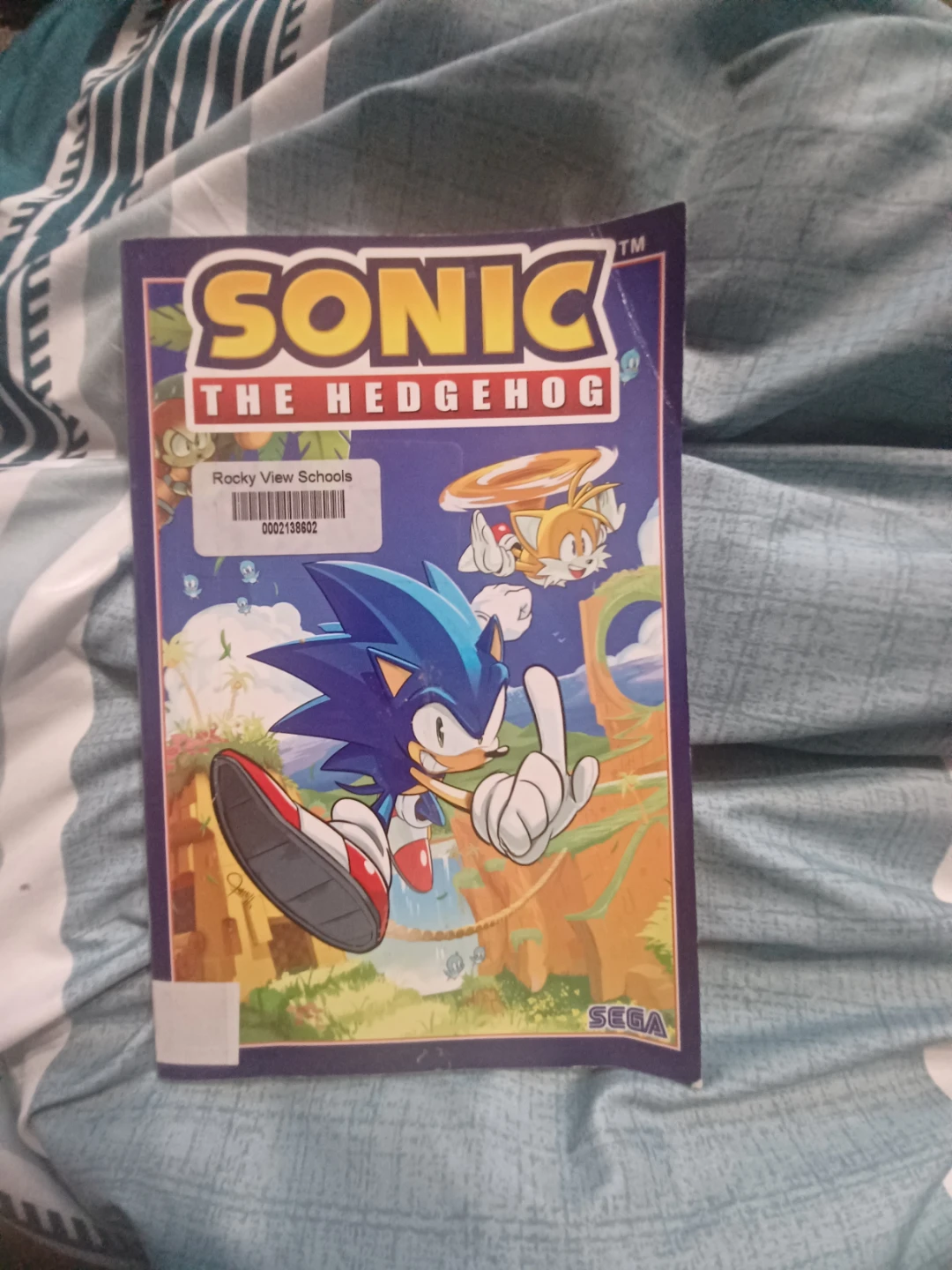 Sonic the Hedgehog Comic Book