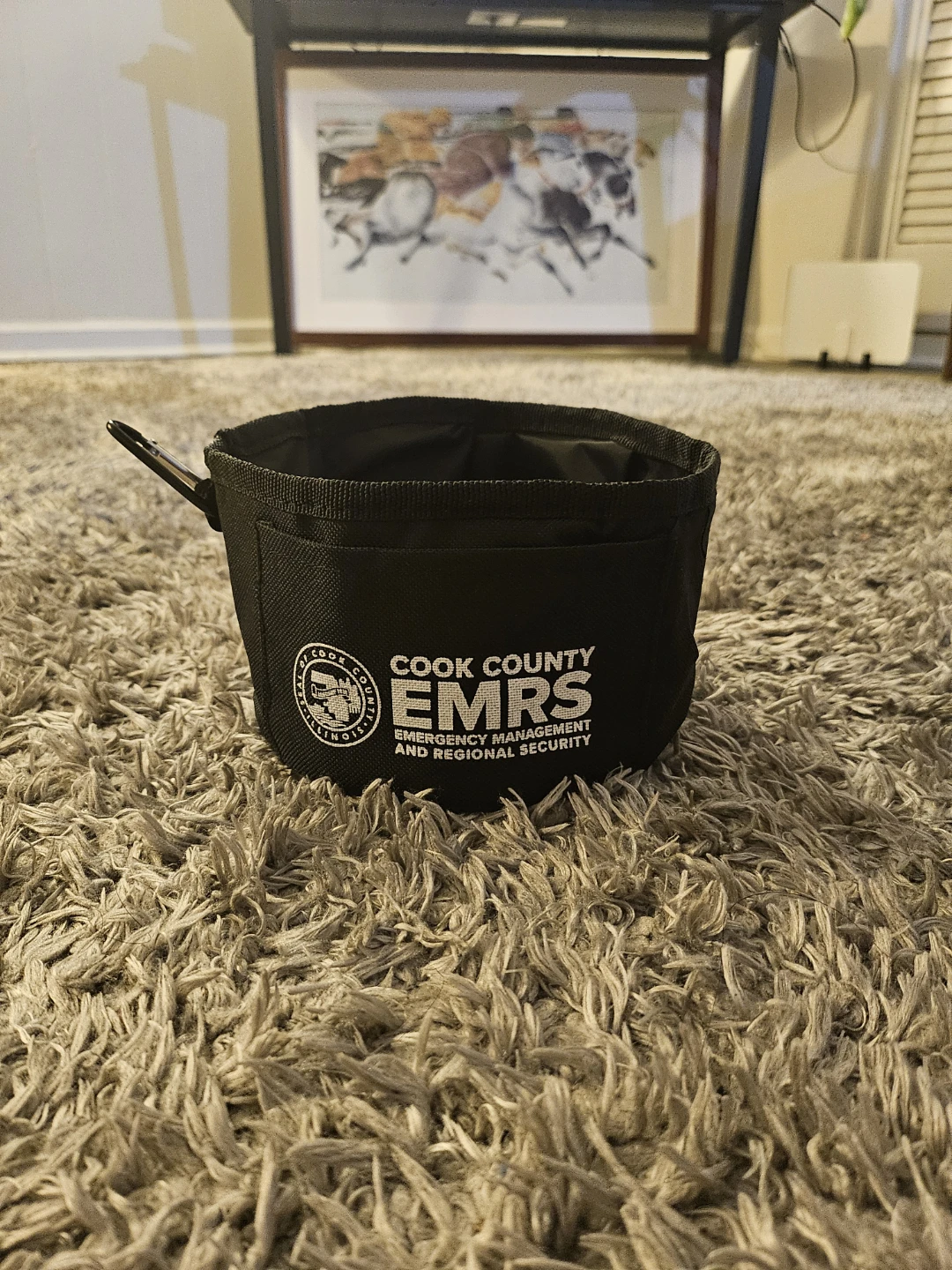 Collapsible Travel Pet Bowl – Black with Carabiner