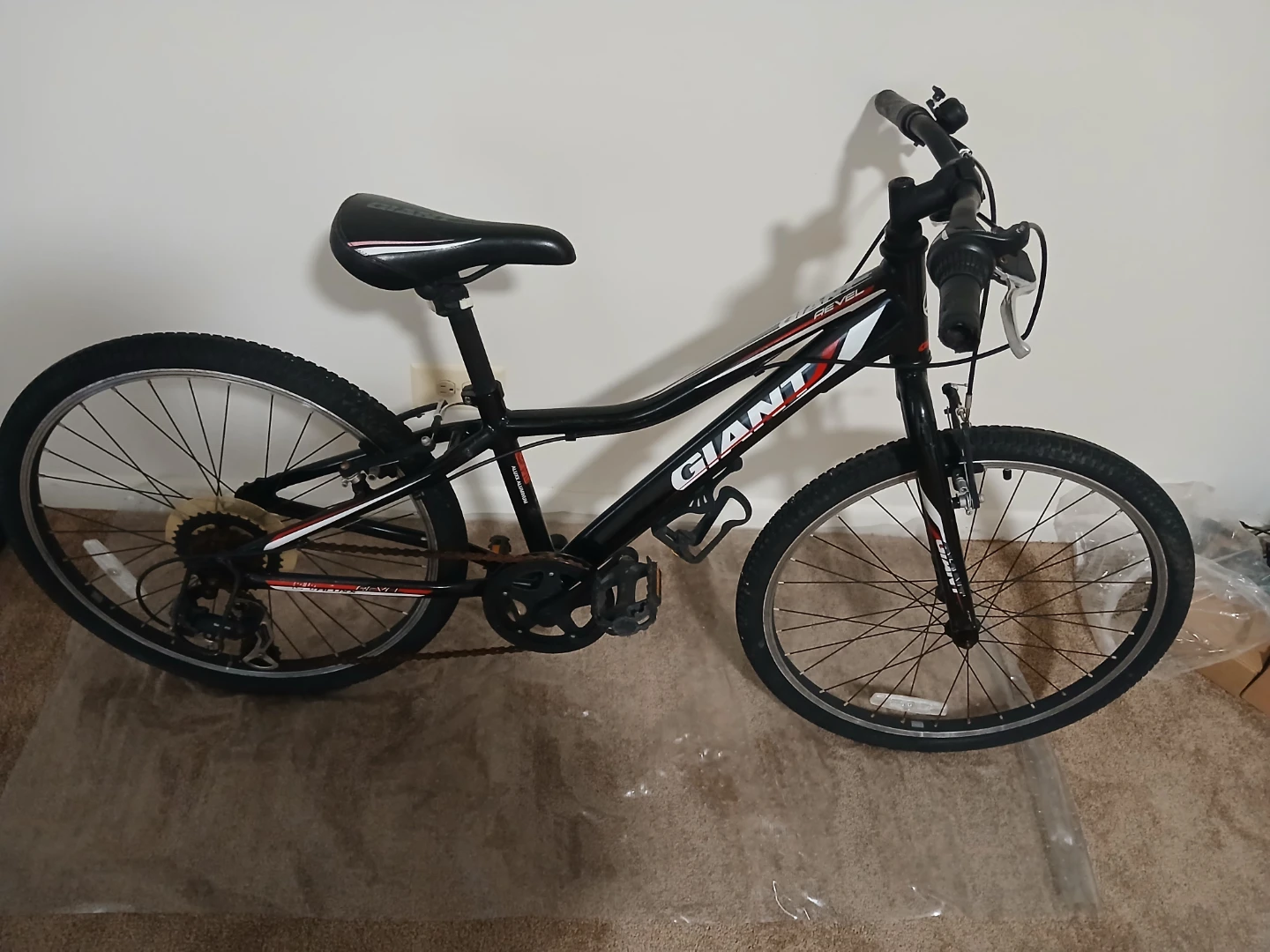 Giant Revel 24" Kids Mountain Bike