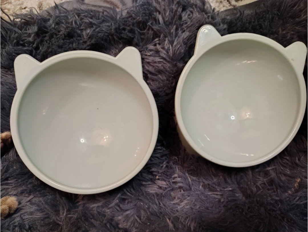 Set of 2 Cat-Shaped Pet Bowls - Light Blue