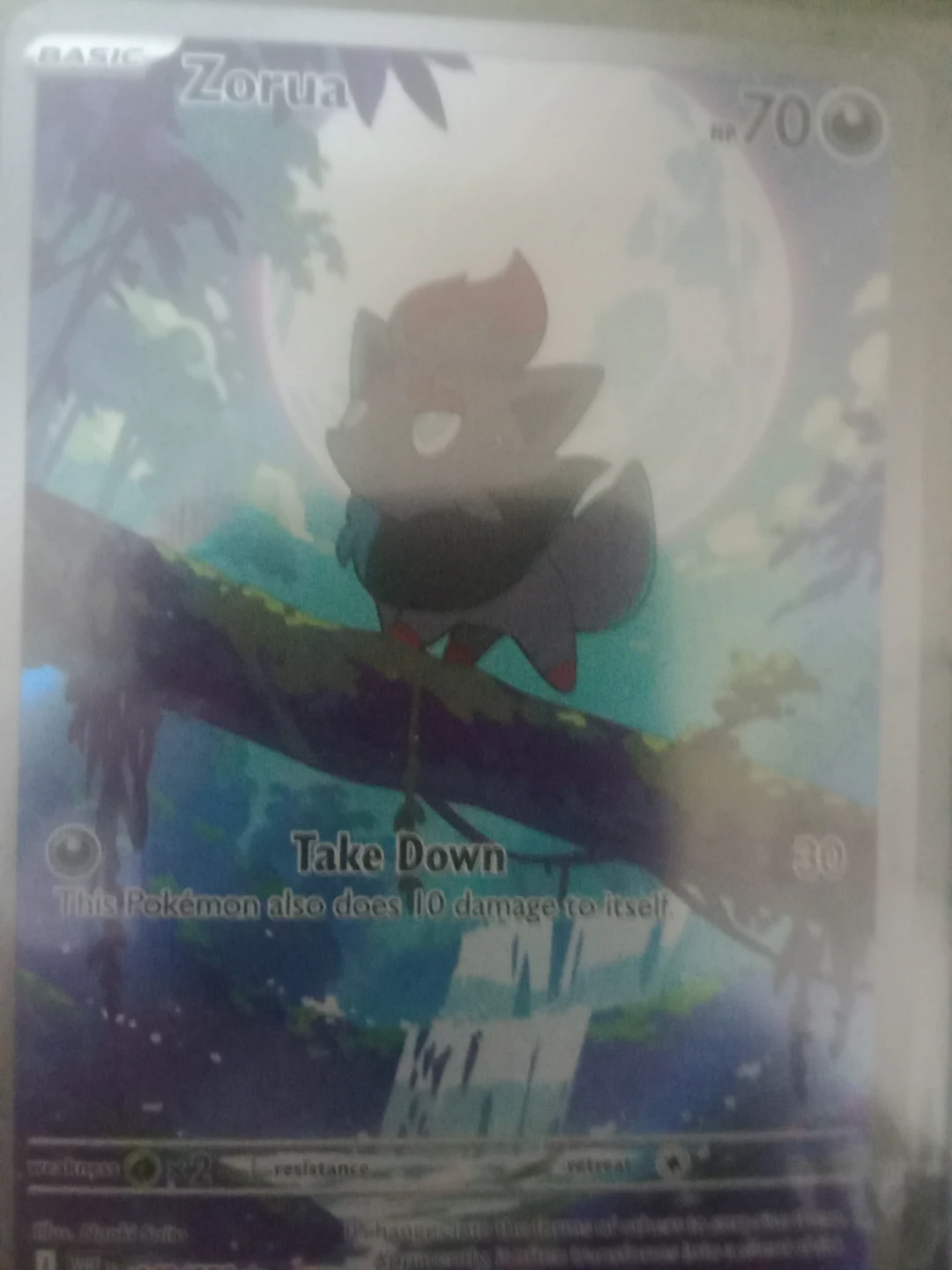 Pokemon Card - Zorua Basic