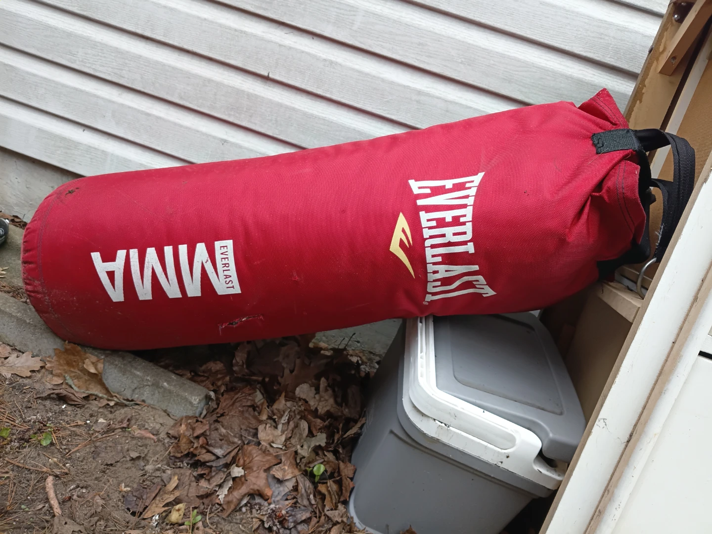 Everlast MMA Punching Bag - Red