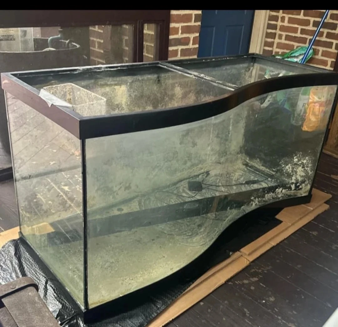 Curved Glass Aquarium - photo 2