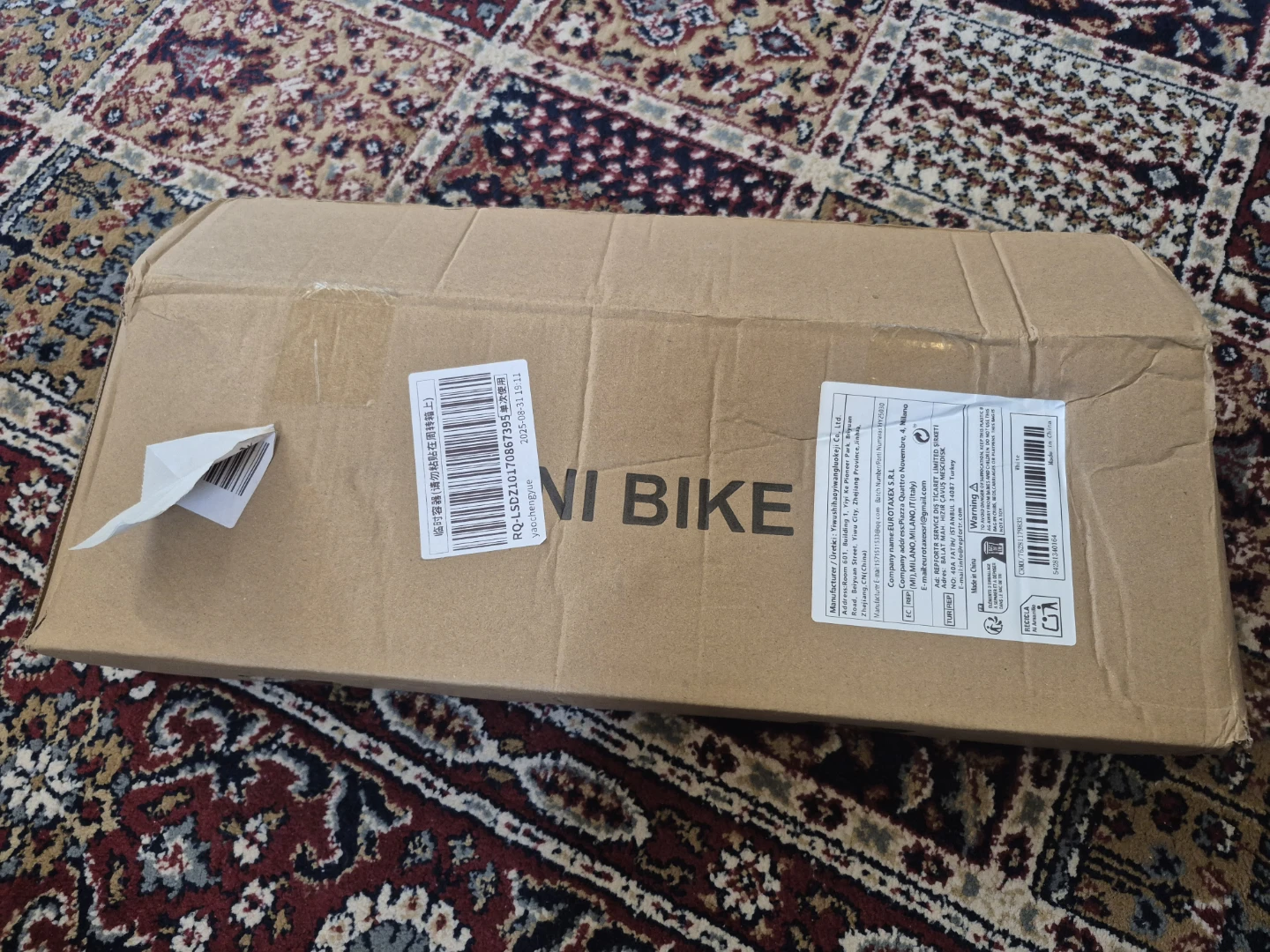 Mini bike