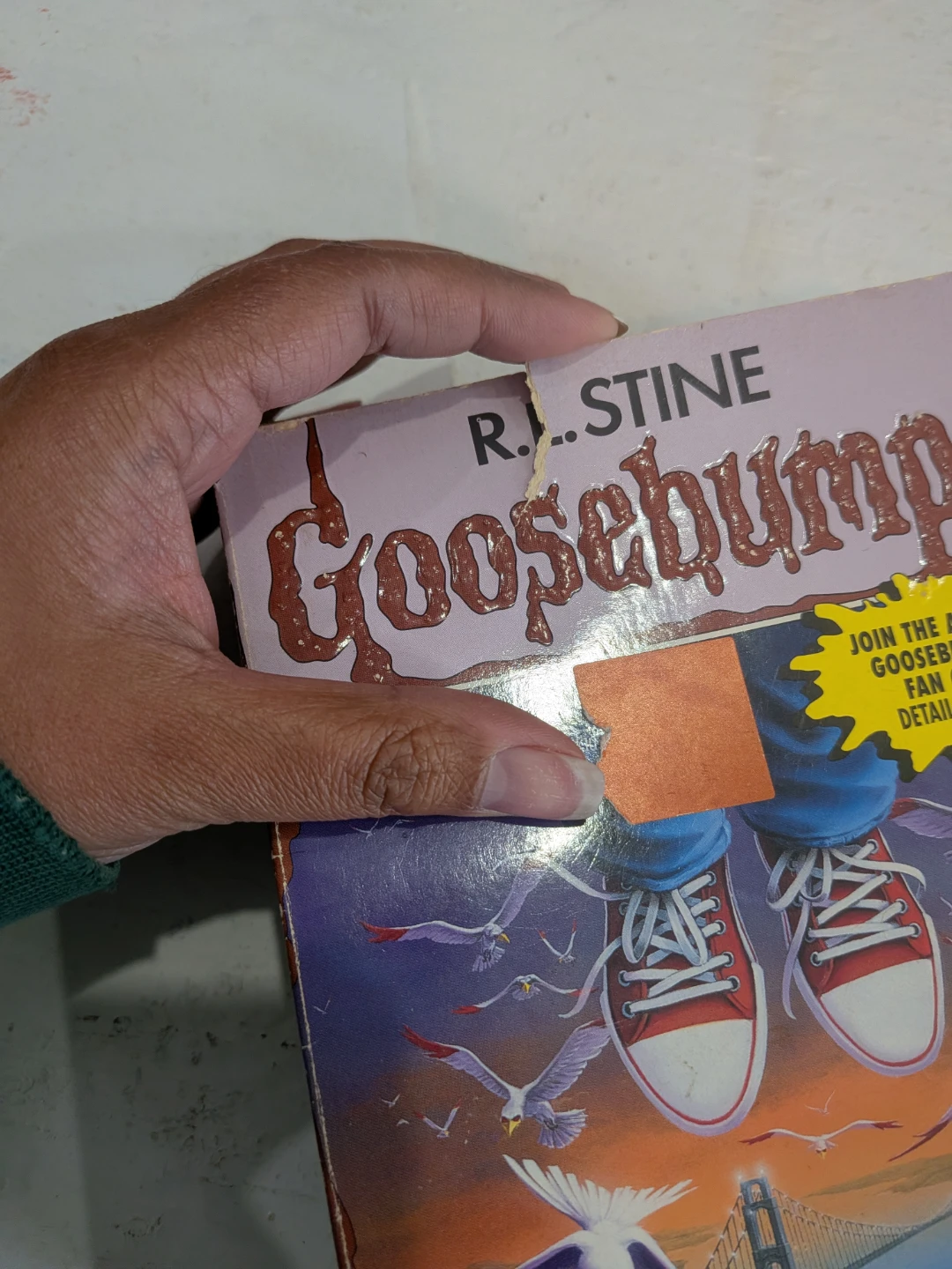 R.L. Stine Goosebumps Books Collection - photo 5