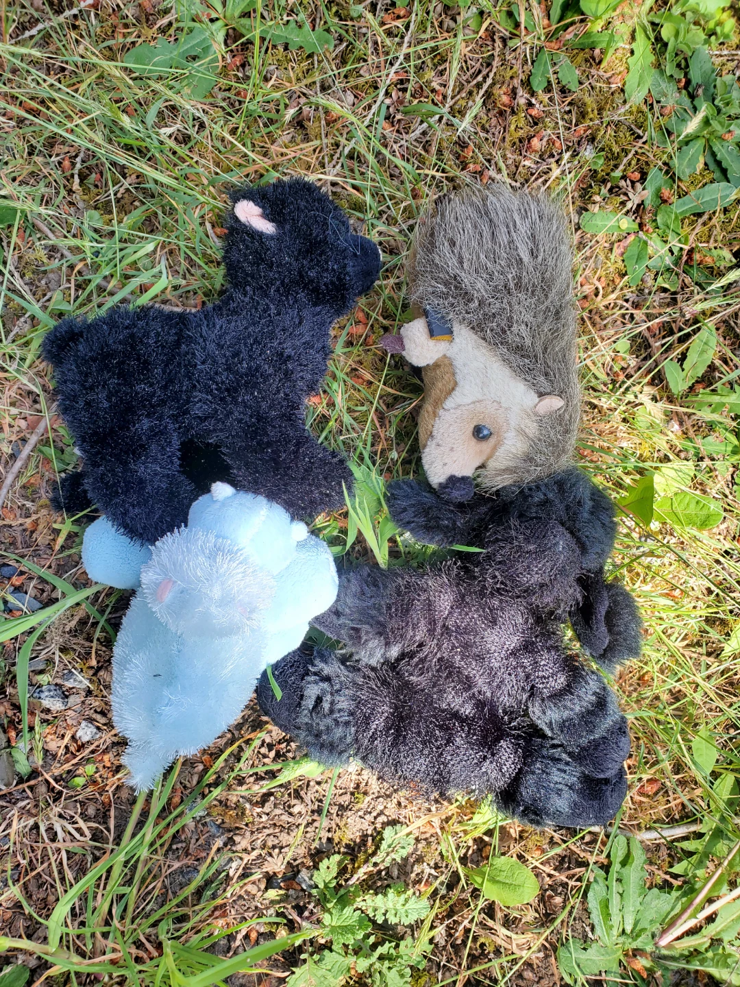 Assorted Children's Toys and Plushies - photo 3