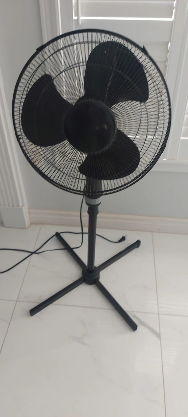 Black Pedestal Fan