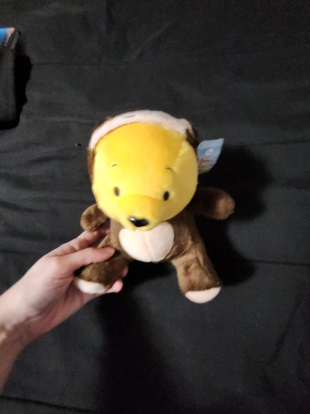 $10 winni pooh 5"